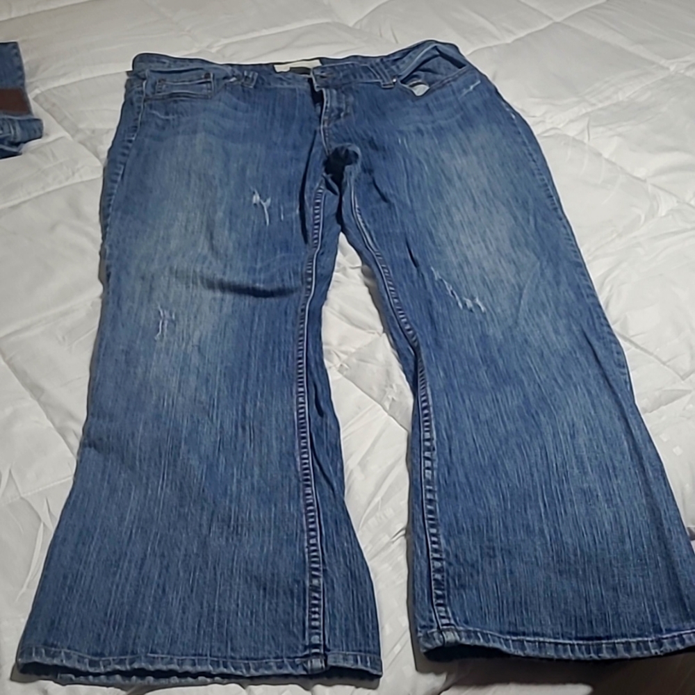 Maurices Amber Boot cut jeans sz 20 Reg. Med Denim